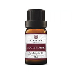 Scotch Pine