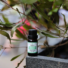 Bergamot