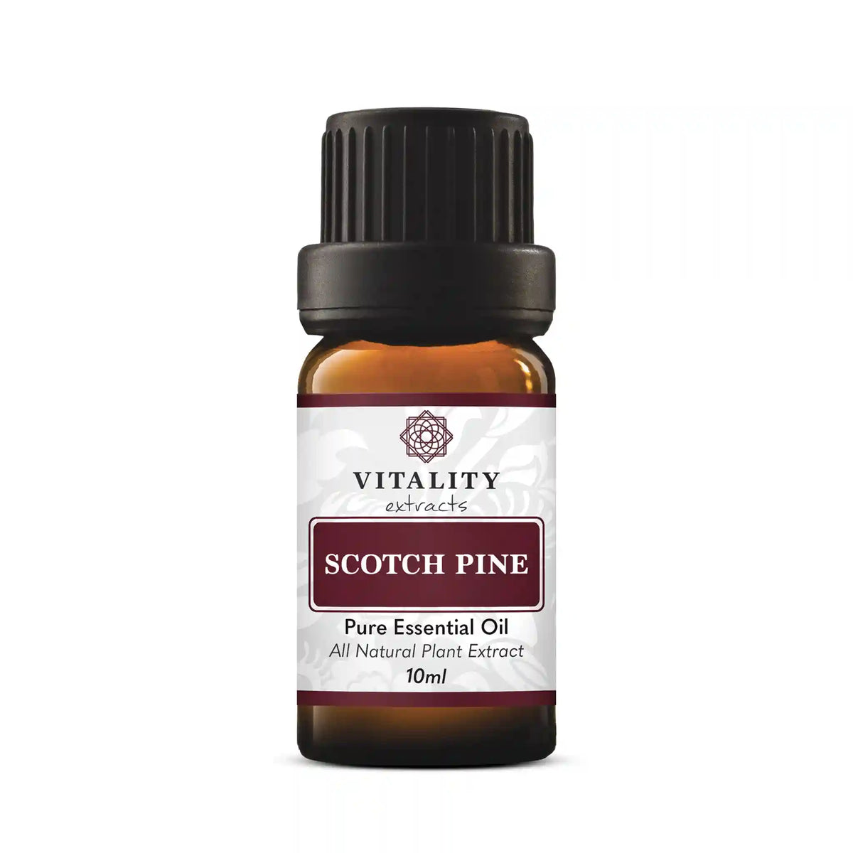 Scotch Pine