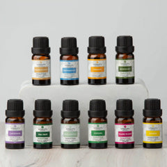 The Ultimate Essentials Bundle (10ml)