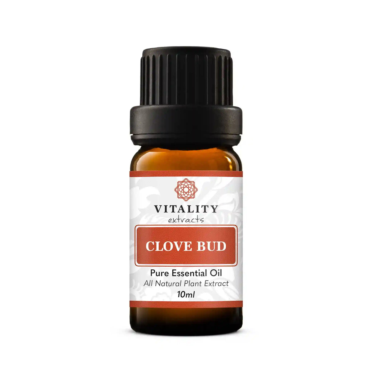 Clove Bud