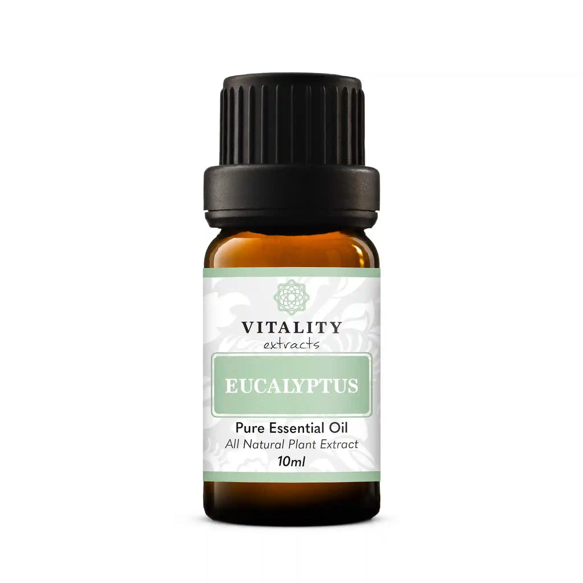 Eucalyptus