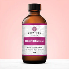 Helichrysum